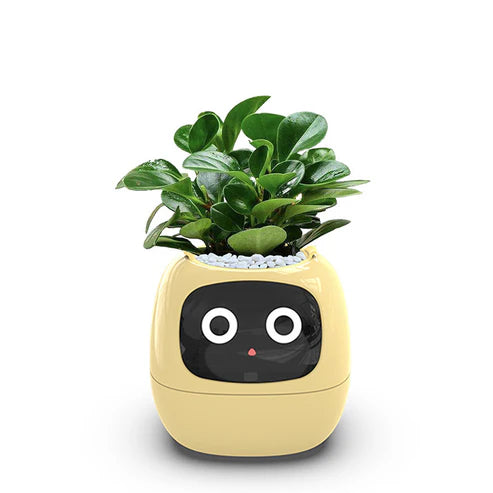 IvyBot – Your Revolutionary Plant Companion