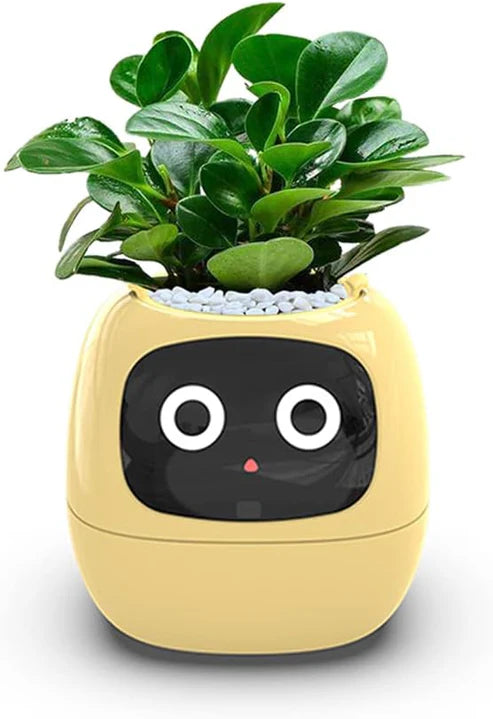 IvyBot – Your Revolutionary Plant Companion
