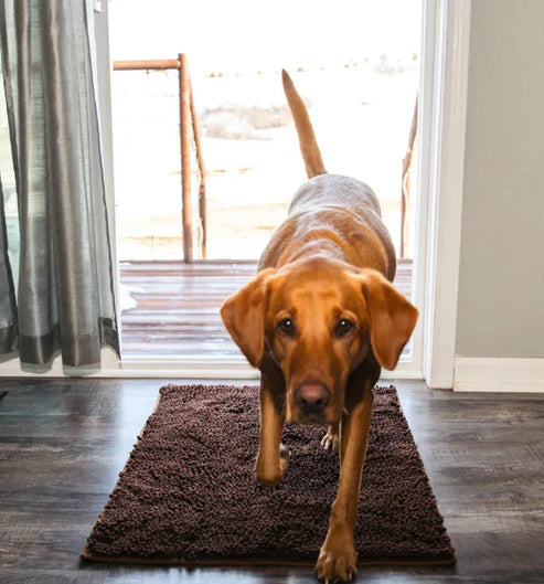 PawDry – Ultra-Absorbent Washable Dog Mat