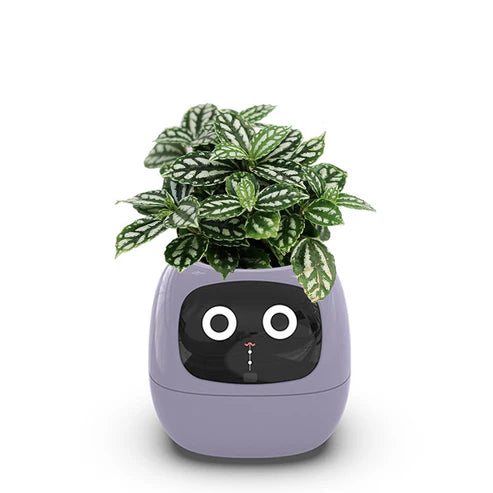 IvyBot – Your Revolutionary Plant Companion