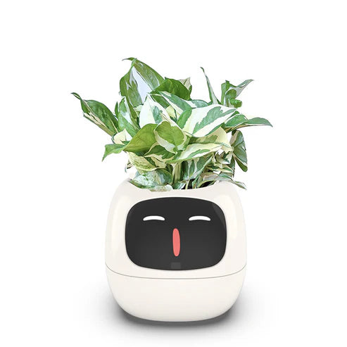 IvyBot – Your Revolutionary Plant Companion