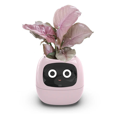 IvyBot – Your Revolutionary Plant Companion