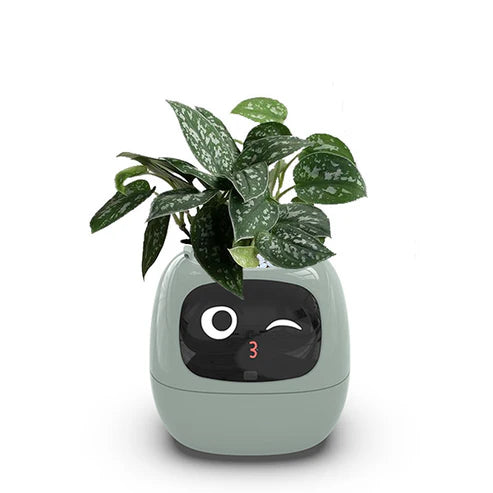 IvyBot – Your Revolutionary Plant Companion
